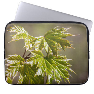 Capa Para Notebook Ramificação verde-branca com folhas pequenas
