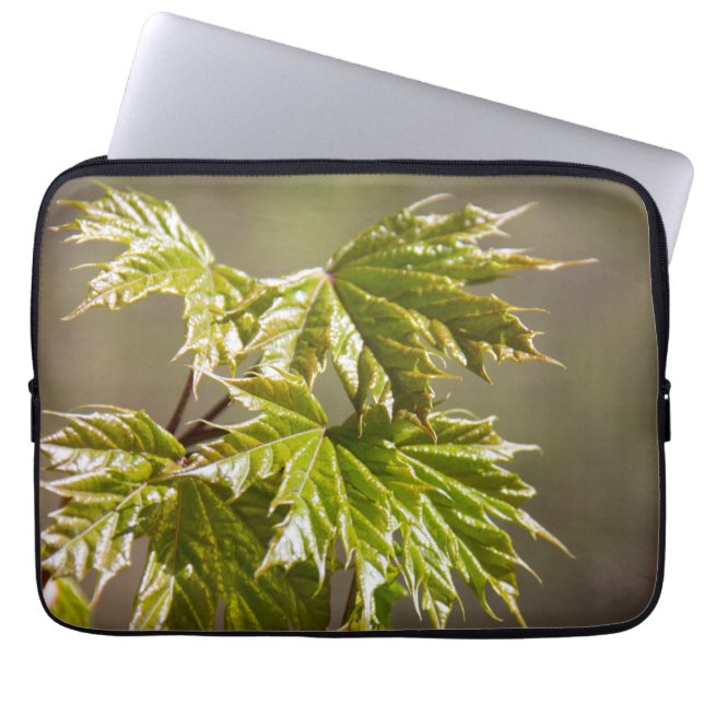 Capa Para Notebook Ramificação verde-branca com folhas pequenas (Frente)