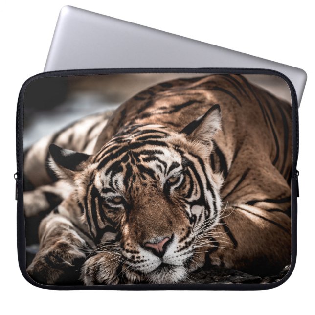 Capa Para Notebook ranthambore selvagem tigre macho Imagem de arte (Frente)