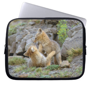 Capa Para Notebook Raposa Cinzenta Sul-Americana (Lycalopex griseus) 