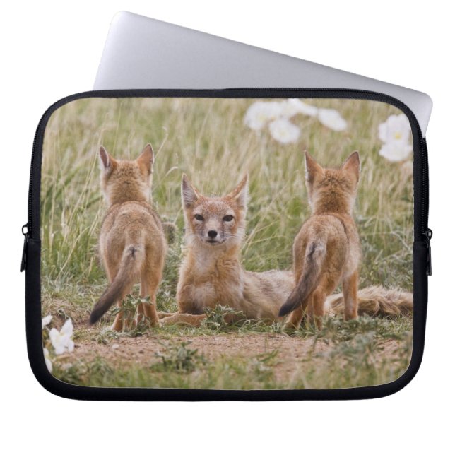Capa Para Notebook Raposa Veloz (Vulpes velox) fêmea com filhotes em (Frente)