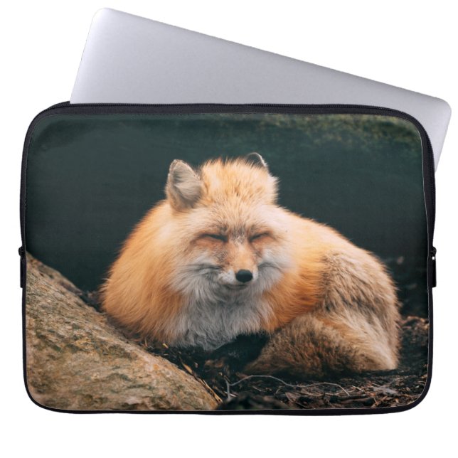 Capa Para Notebook Raposa Vermelha Dormindo (Frente)