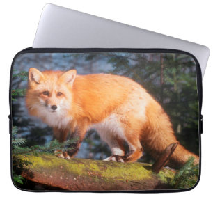 Capa Para Notebook Raposa Vermelha em um tronco