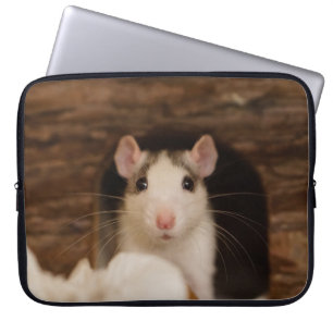 Capa Para Notebook Rato Fofo
