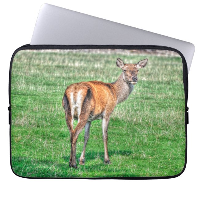 Capa Para Notebook Red Deer & Field Willife Animal Design (Frente)