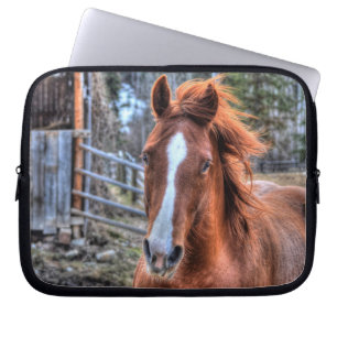 Capa Para Notebook Red Dun Horse e Barn 2 - Retrato Fotográfico Equin