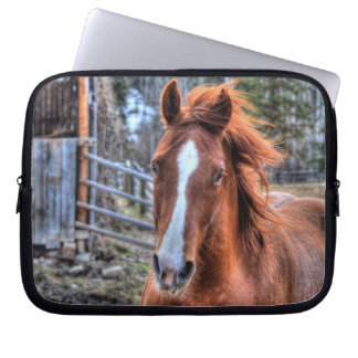 Capa Para Notebook Red Dun Horse e Barn 2 - Retrato Fotográfico Equin