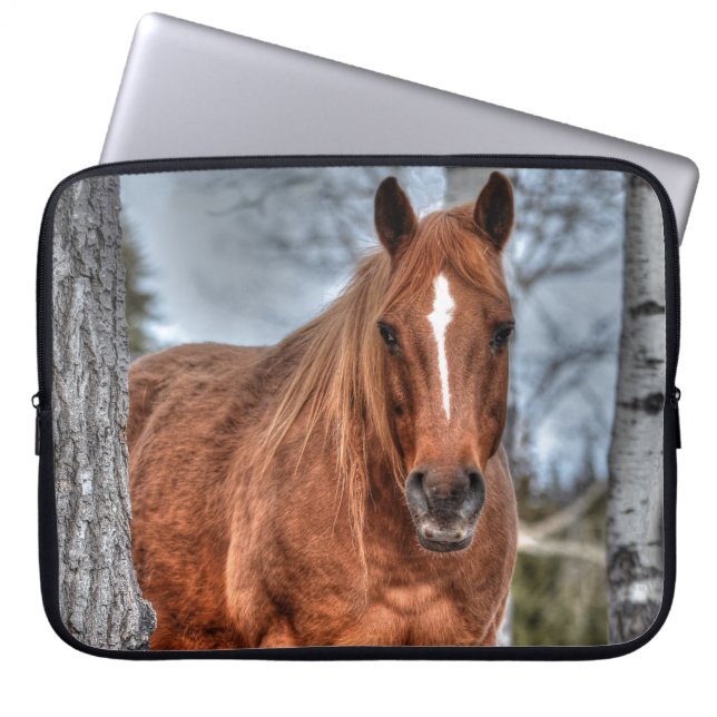 Capa Para Notebook Red Dun Ranch Horse Animal lover Foto (Frente)