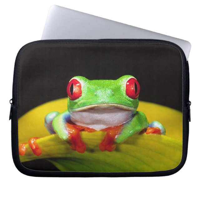 Capa Para Notebook Red Eye Treefrog, Agalychinis callidryas, Nativo (Frente)