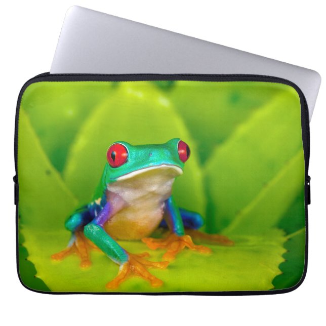 Capa Para Notebook Red-eyed tree frog, Costa Rica (Frente)