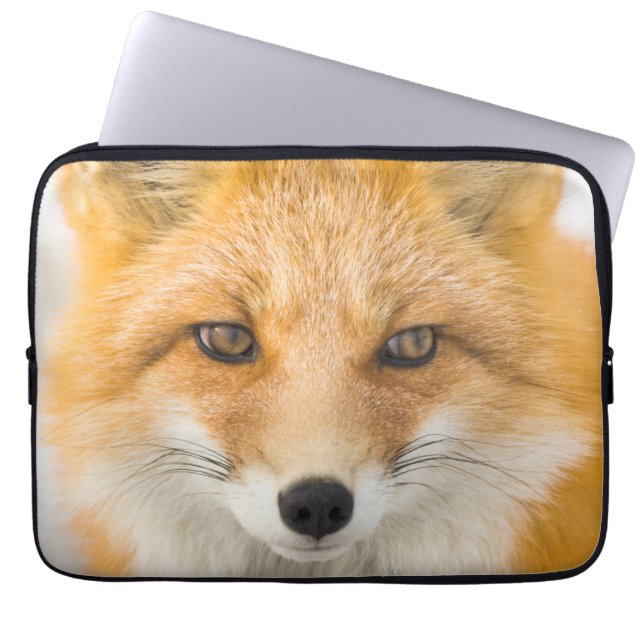 Capa Para Notebook Red Fox Portrait (Frente)
