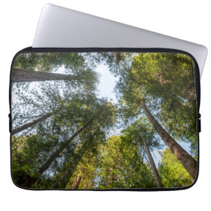 Capa Para Notebook Redwood National and State Parks, Califórnia