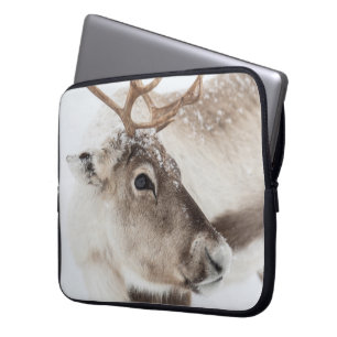 Capa Para Notebook Reindeer Nature Photo