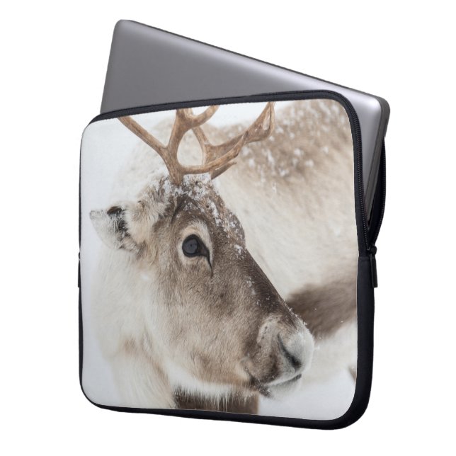 Capa Para Notebook Reindeer Nature Photo (Frente Esquerda)