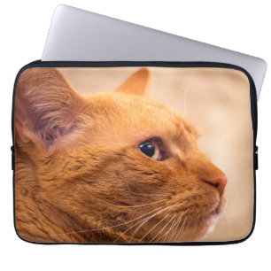 Capa Para Notebook Retrato da Curiosa Foto da Natureza do Gato Tabby 