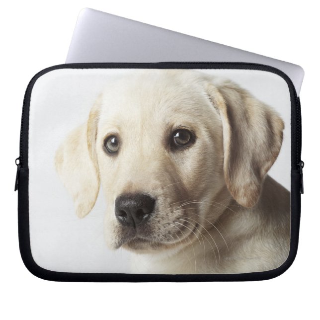 Capa Para Notebook Retrato da loira Labrador Retriever Puppy (Frente)