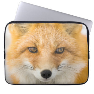 Capa Para Notebook Retrato da Raposa Vermelha