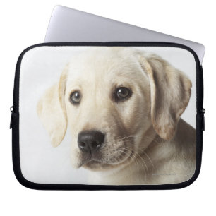 Capa Para Notebook Retrato do filhote de cachorro louro de labrador