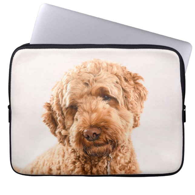 Capa Para Notebook Retrato do Goldendoodle Studio (Frente)