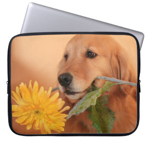 Capa Para Notebook Retriever de ouro com Bolsa de laptop de ventilado