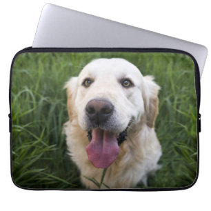 Capa Para Notebook Retriever de Ouro sorridente