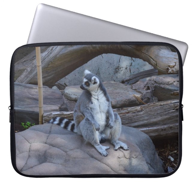 Capa Para Notebook Ring Tail Possum Sentado, (Frente)