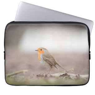 Capa Para Notebook Robin Bird Nature Foto