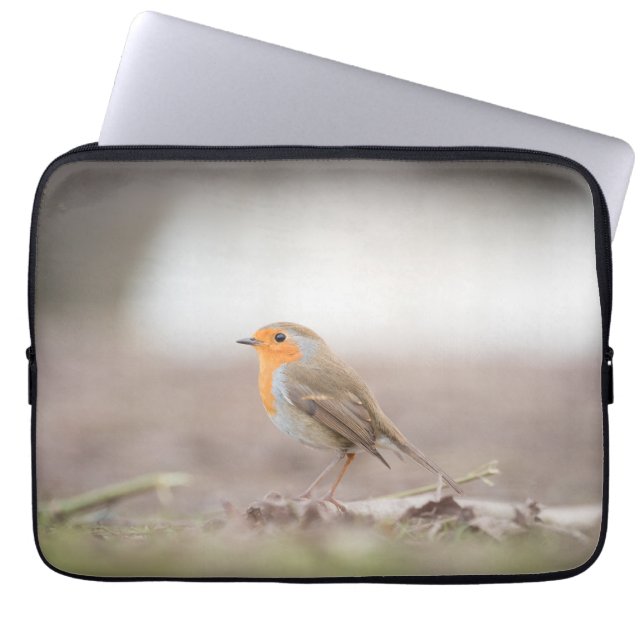 Capa Para Notebook Robin Bird Nature Foto (Frente)