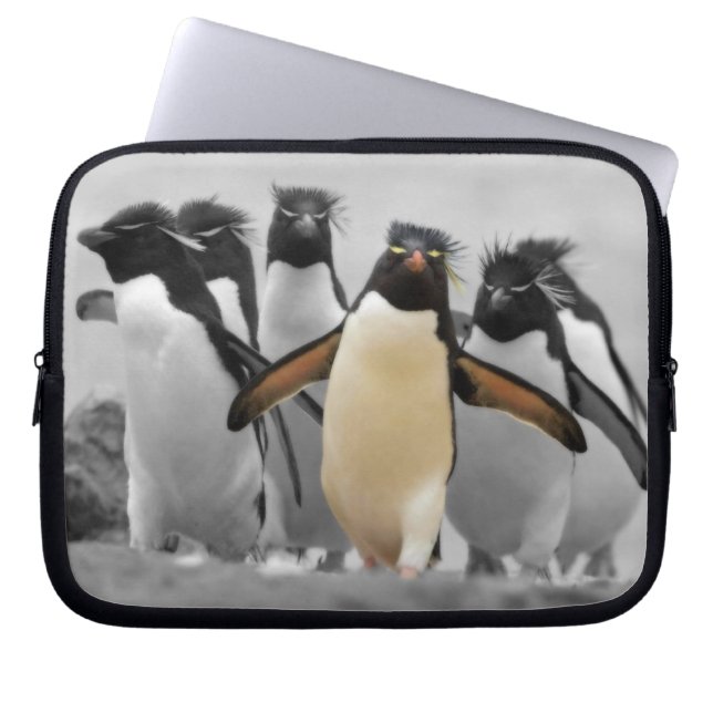 Capa Para Notebook Rockhopper Penguins (Frente)