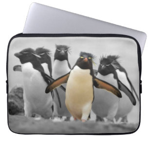 Capa Para Notebook Rockhopper Penguins