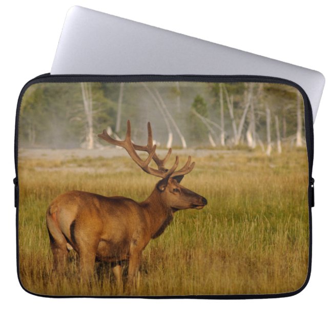 Capa Para Notebook Rocky Mountain Elk | Parque Nacional Yellowstone (Frente)