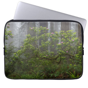 Capa Para Notebook Rododendro no Parque Nacional Redwood Califórnia