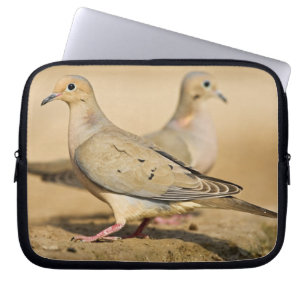 Capa Para Notebook Rola-calmista