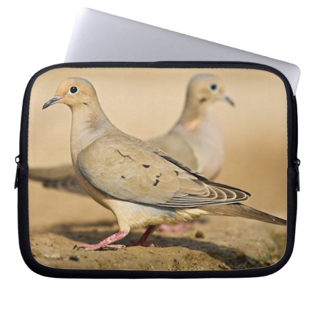 Capa Para Notebook Rola-calmista (Frente)
