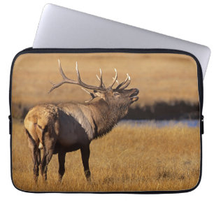 Capa Para Notebook Roosevelt Eull Elk Wyoming