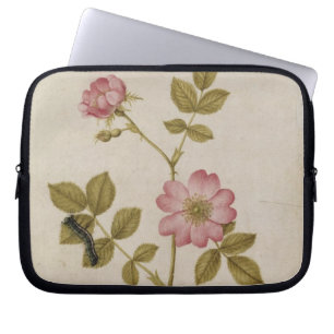 Capa Para Notebook Rosa Canina - Dogrose e Caterpillar (lápis & com