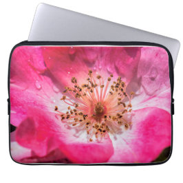 Capa Para Notebook Rosa Rosa