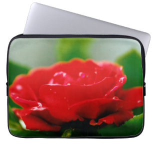 Capa Para Notebook Rosa vermelha de manhã coberta com gotas de orvalh