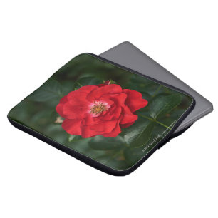 Capa Para Notebook Rosa vermelha P6568