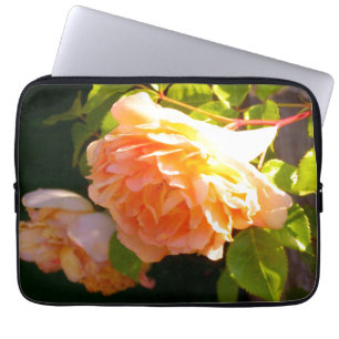 Capa Para Notebook Rosas de Pêssego do País