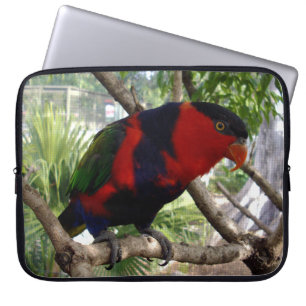 Capa Para Notebook Rosto Cheeky Rainbow Lorikeet,
