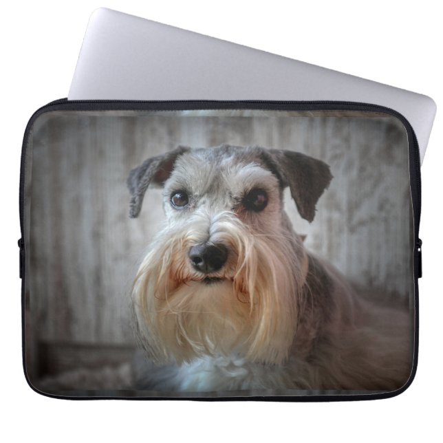 Capa Para Notebook Rosto de Cachorro Schnauzer (Frente)