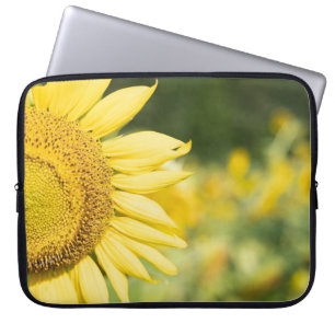 Capa Para Notebook Saco de Laptop de Sunflower Field