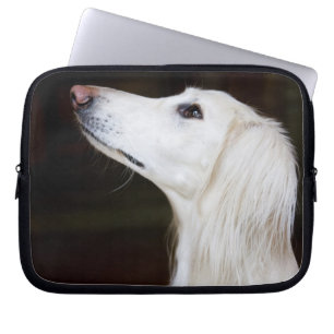 Capa Para Notebook Saluki que olha acima