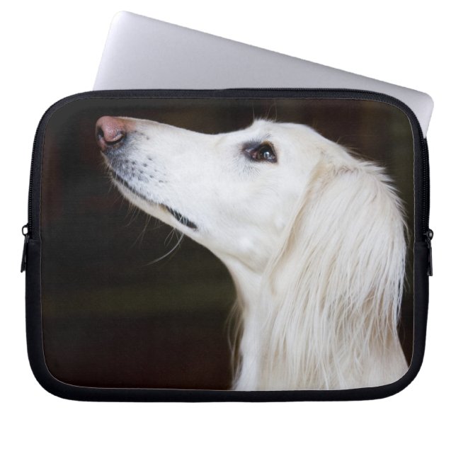 Capa Para Notebook Saluki que olha acima (Frente)