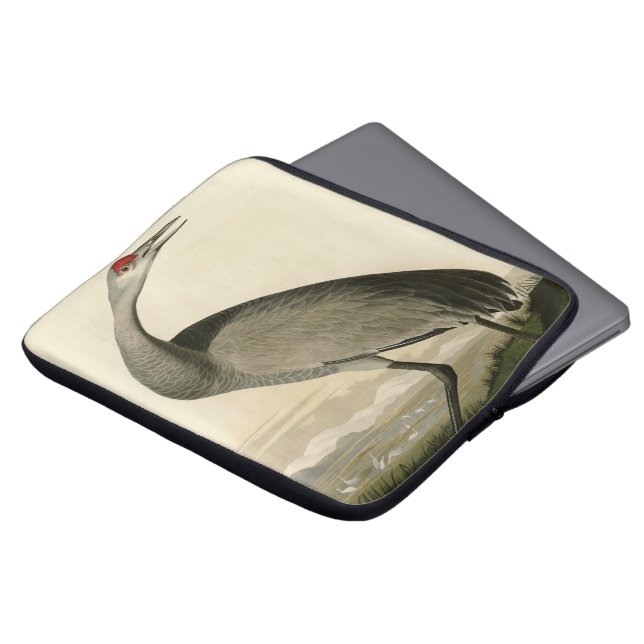 Capa Para Notebook Sandhill Crane das Aves da América de Audubon (Frente Topo)