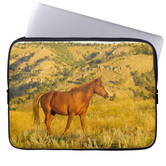 Capa Para Notebook Santuário de Cavalos Selvagens. (Frente)