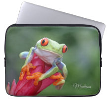 Sapo de Nome Personalizado