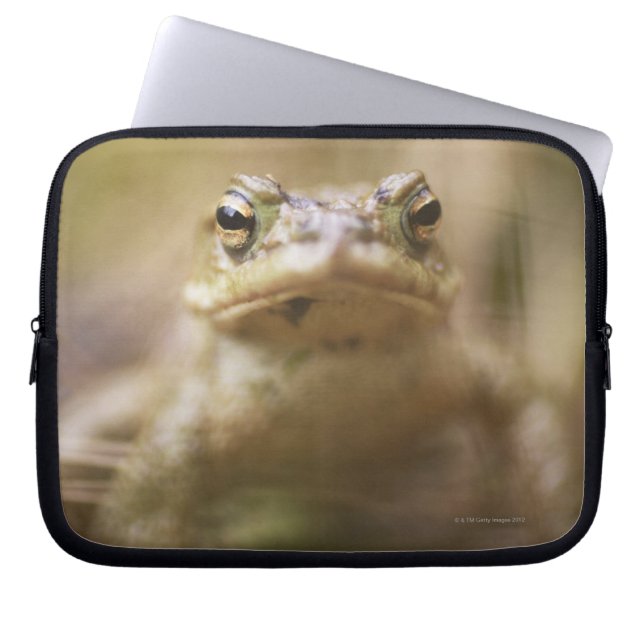 Capa Para Notebook Sapo do dia (Frente)