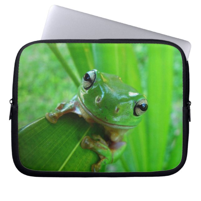 Capa Para Notebook Sapo verde-esverdeado sobre folha em árvore (Frente)